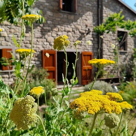Casa vacanze Ca'lamma - Peaceful Country Retreat